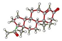 Progesterone May Hold Treatment Implications in TBI and Stroke