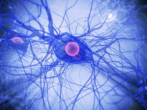 Researchers Highlight Method Designed to Repair Damaged Nerves and Restore Function