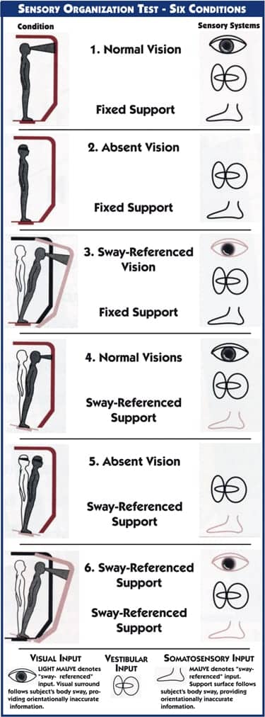 gaitbalance sixsteps