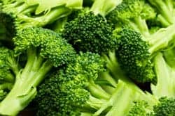 Broccoli Compound May Prevent or Slow OA Disease Process