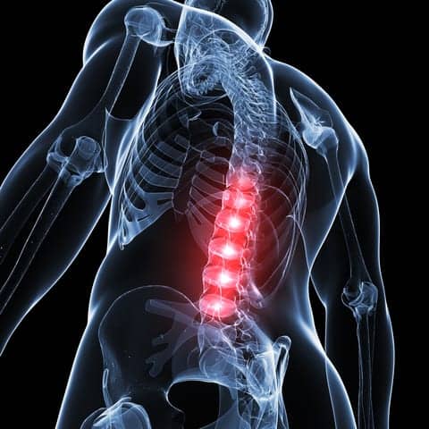 Treadmill Training May Promote Recovery After a Spinal Cord Injury