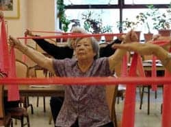 Exercise Program Targets Pain Reduction and Mobility Improvement in Older Adults