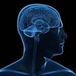 UTHealth Houston Awarded $13M in Grants to Study TBI Treatments