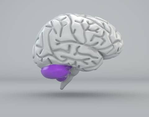 Cerebellum’s Higher Role in Cognition and Assistive Technologies