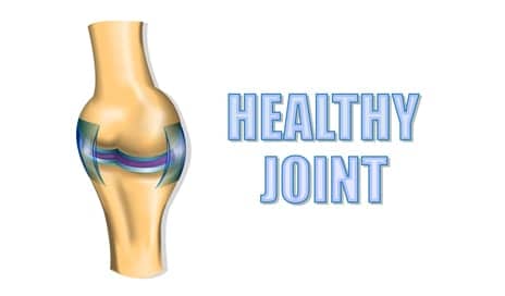 Celebrate the New Year with Healthy Joints