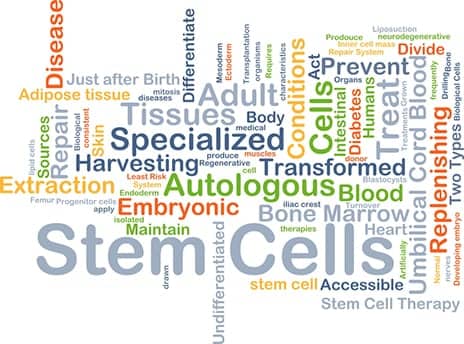 Stem Cell Therapeutics May Do Away with Joint Replacement Surgeries