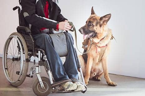 A Service Dog’s Impact Extends Beyond the Care Recipient