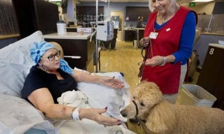 Charleston Hospital Patients Call Volunteer Therapy Dogs ‘the Highlight of My Day’