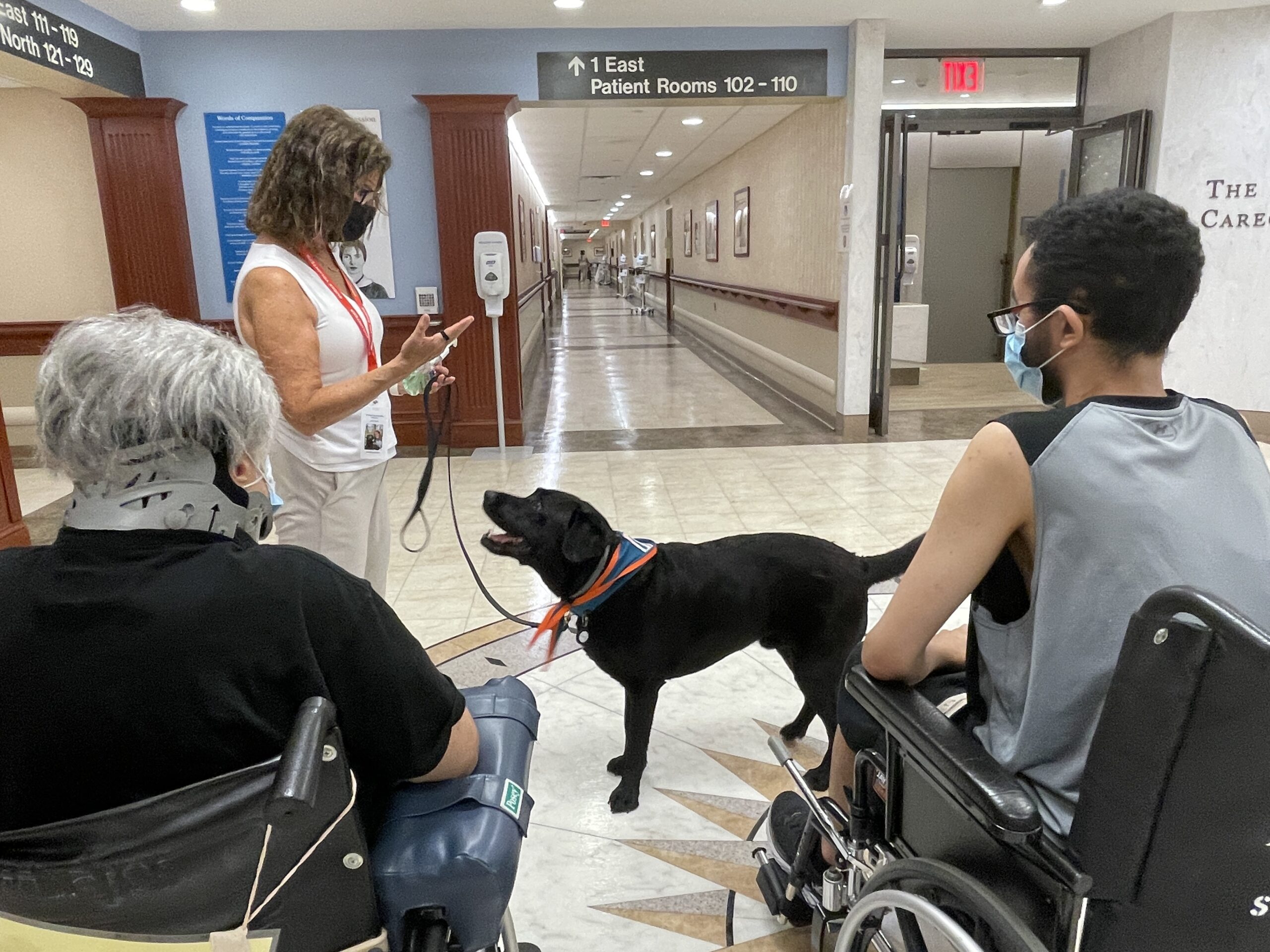 Burke Launches Canine Therapy Program Rehab Management