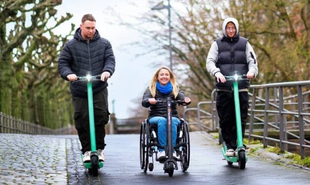 Sunrise Medical Empulse F35 Pull Power Assist Device
