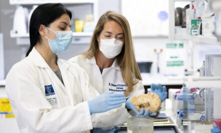 Study: CTE Rare Among Individuals With Isolated Brain Injuries