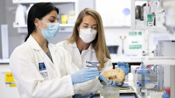 Left to Right: Enna Selmanovic, PhD candidate at Icahn School of Medicine; Kristen Dams-O'Connor, PhD, Director of The Brain Injury Research Center at Mount Sinai. Photo: Mount Sinai Health Center