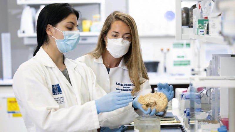 Study: CTE Rare Among Individuals With Isolated Brain Injuries